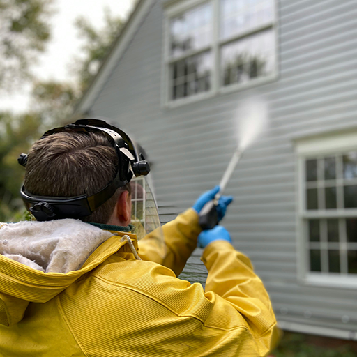 Residential Pressure Washing Image